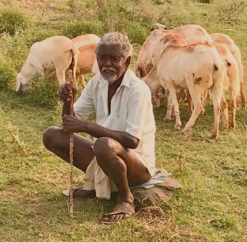 Elderly goat farmer resting on a rock